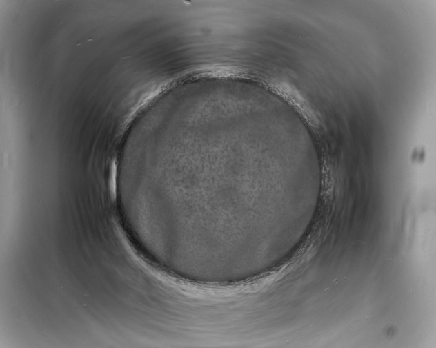 X0000098180014200805081035