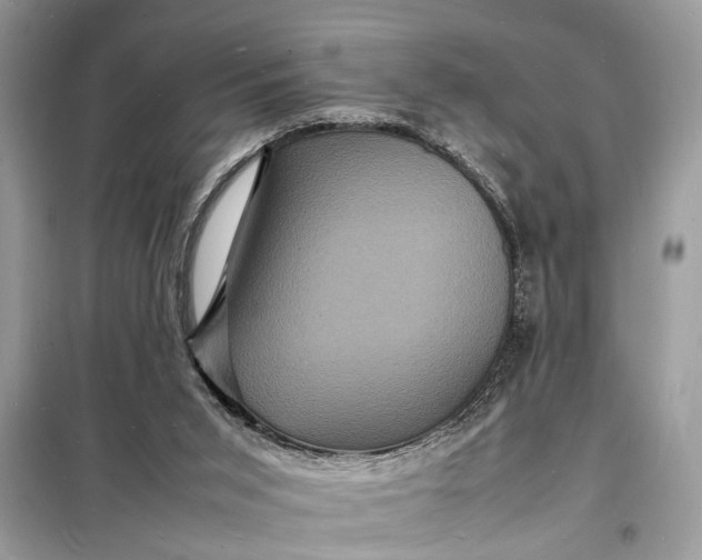 X0000098180015200805081035