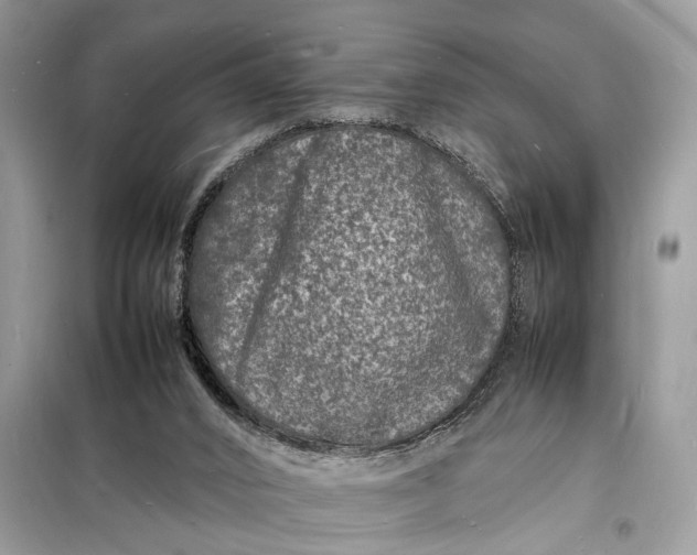 X0000098180016200805081035