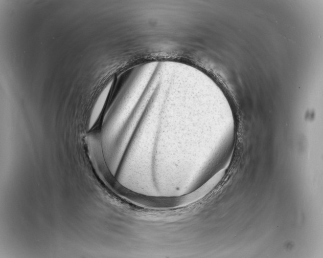 X0000098180017200805081035