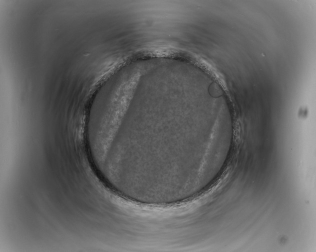 X0000098180018200805081035