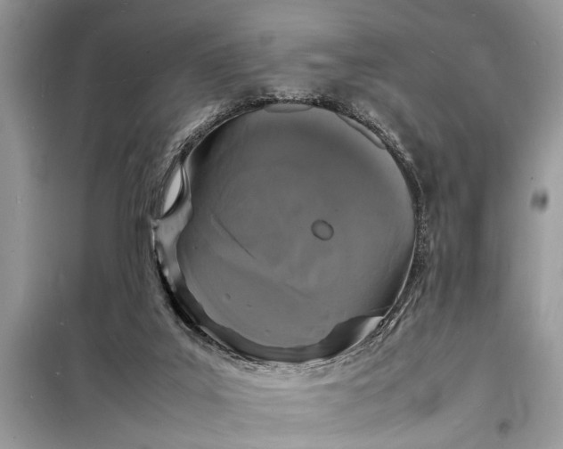 X0000098180019200805081035