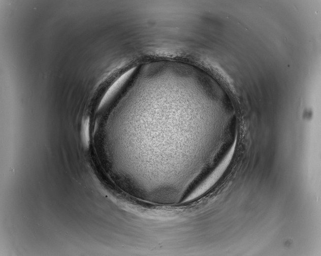 X0000098180020200805081035