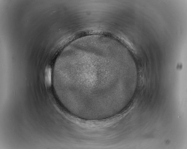 X0000098180022200805081035