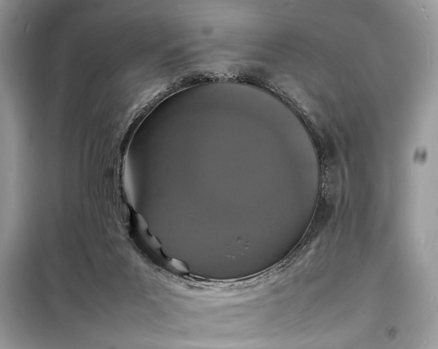 X0000098180023200805081035