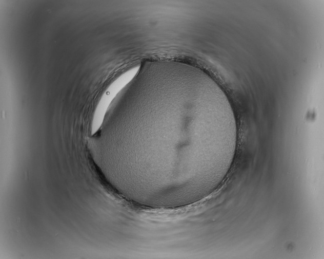 X0000098180025200805081035