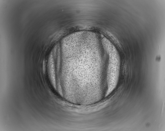 X0000098180026200805081035