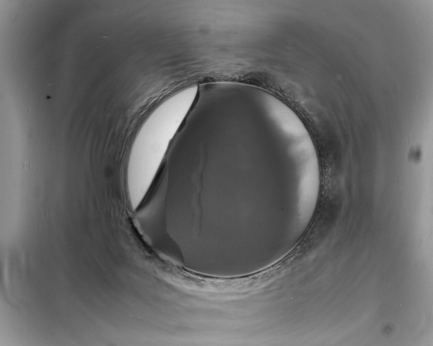 X0000098180027200805081035