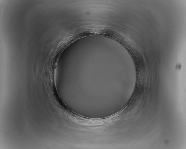 X0000098180031200805081035