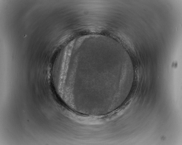 X0000098180032200805081034