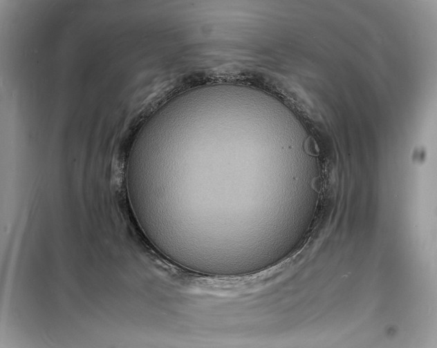 X0000098180033200805081034