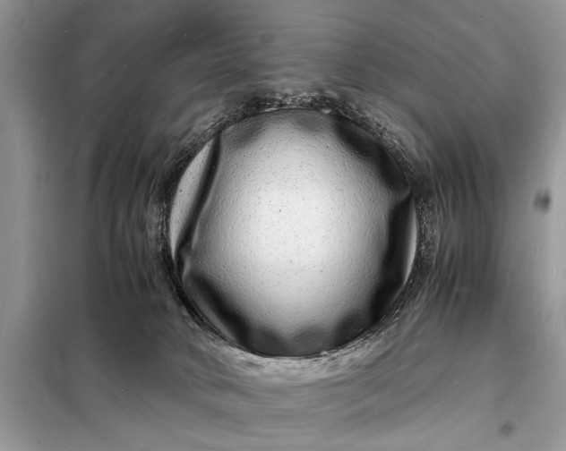 X0000098180034200805081034