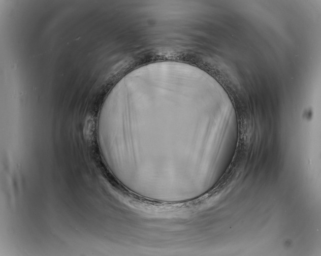 X0000098180036200805081034