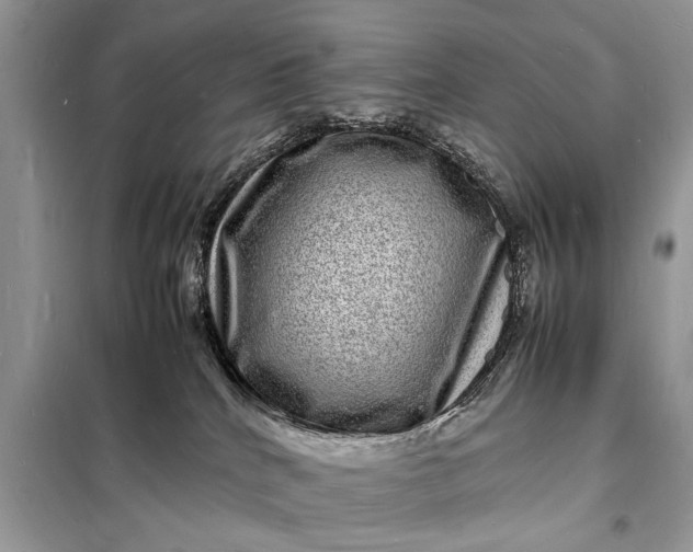 X0000098180040200805081034