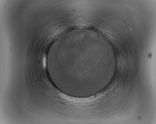 X0000098180042200805081034