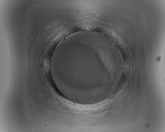 X0000098180043200805081034