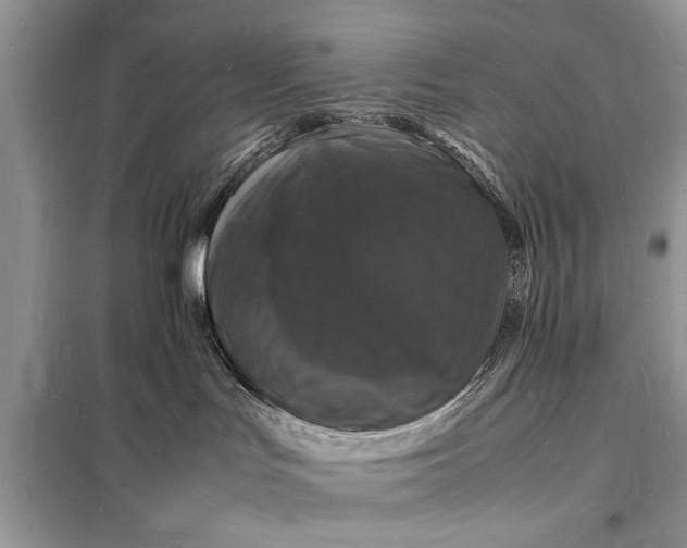 X0000098180047200805081034