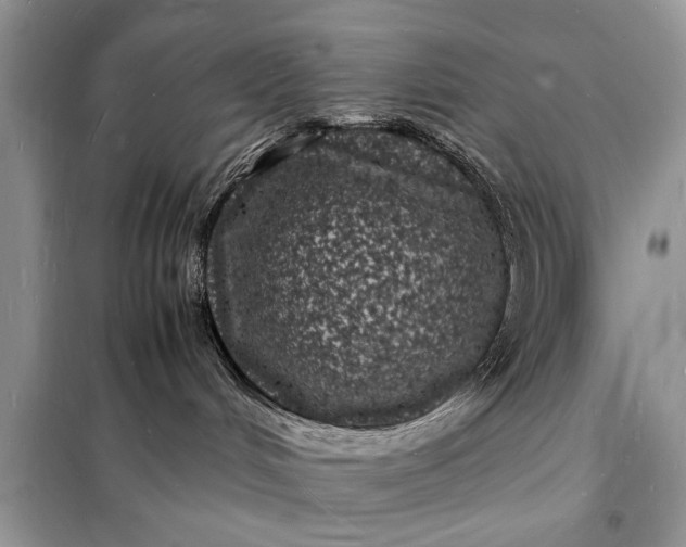 X0000098180048200805081034