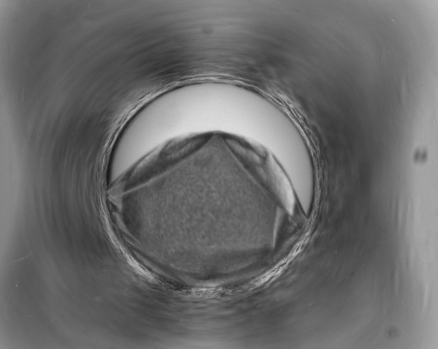 X0000098180049200805081033