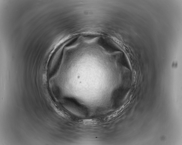 X0000098180050200805081033