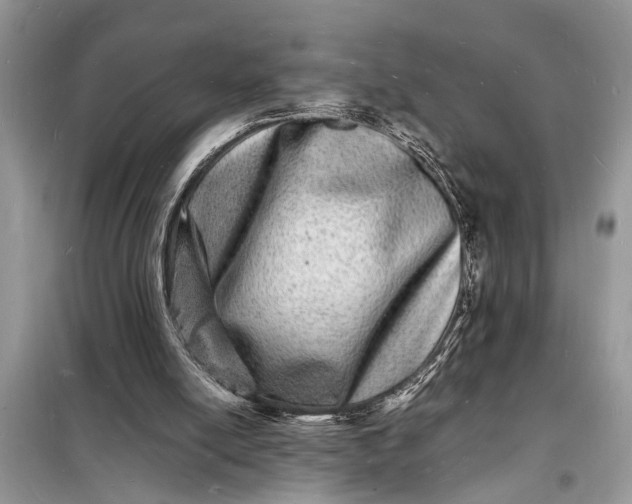 X0000098180054200805081034