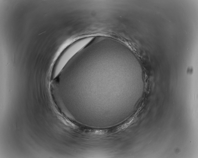 X0000098180056200805081034