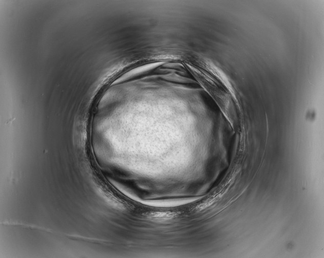 X0000098180059200805081034