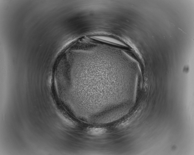 X0000098180063200805081034