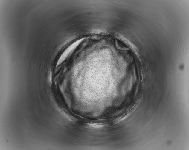 X0000098180067200805081034