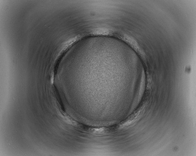 X0000098180068200805081034