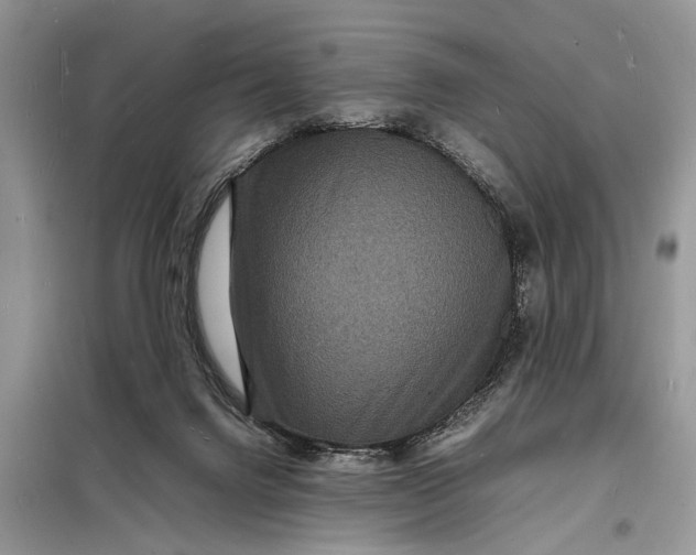 X0000098180072200805081034