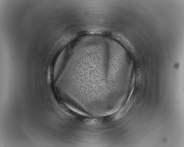 X0000098180074200805081034