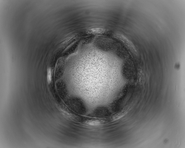 X0000098180075200805081034