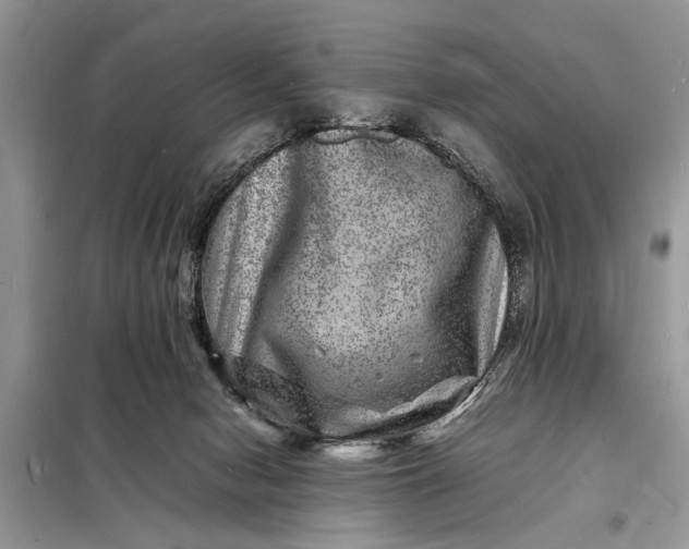 X0000098180078200805081034