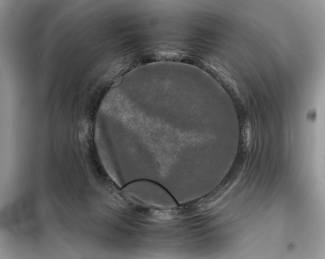 X0000098180079200805081034