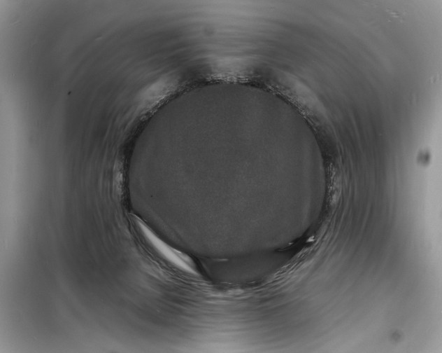 X0000098180080200805081034