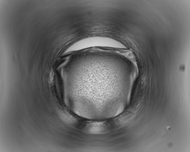 X0000098180081200805081034