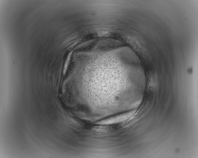 X0000098180082200805081034