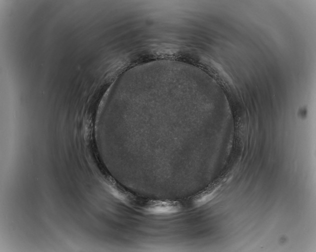 X0000098180083200805081034