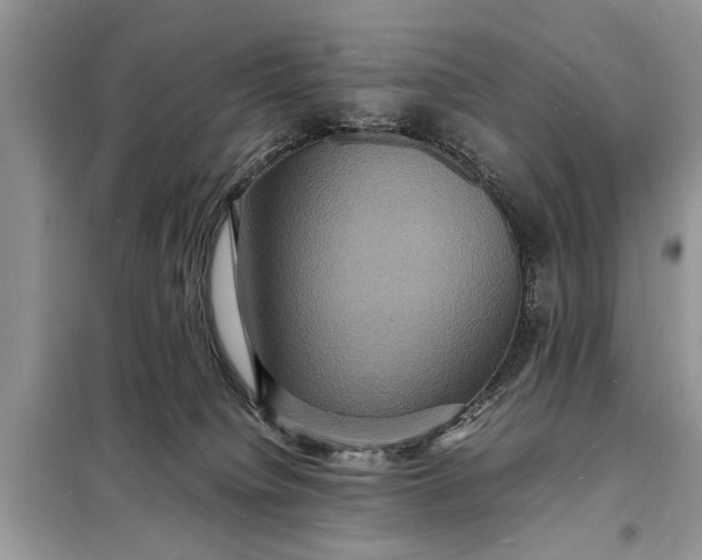 X0000098180084200805081034