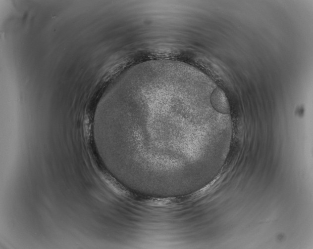 X0000098180086200805081034