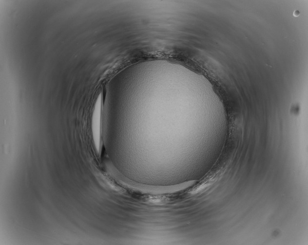 X0000098180088200805081034