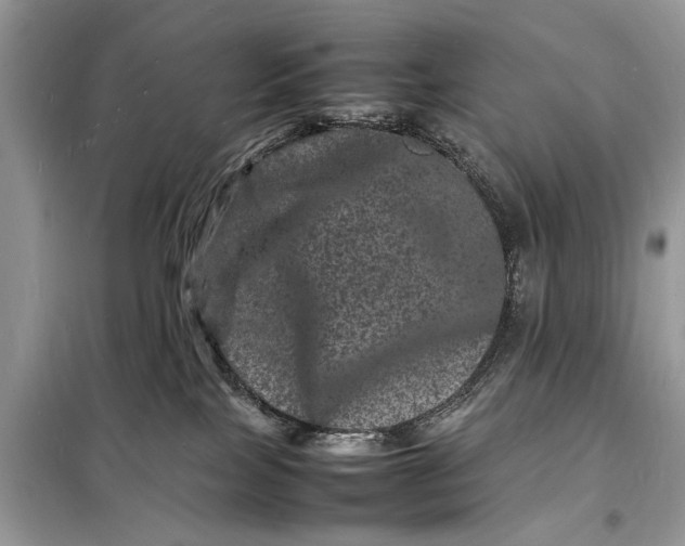 X0000098180089200805081034