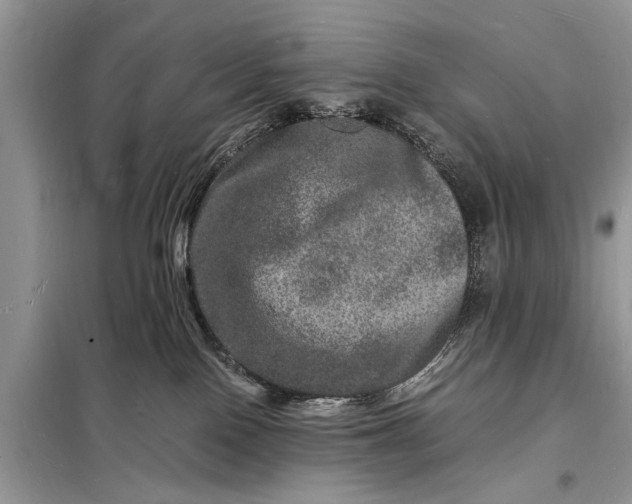 X0000098180090200805081034