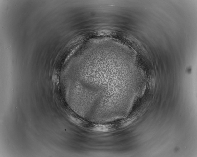 X0000098180091200805081034