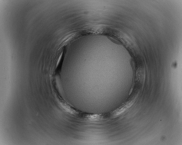 X0000098180092200805081034