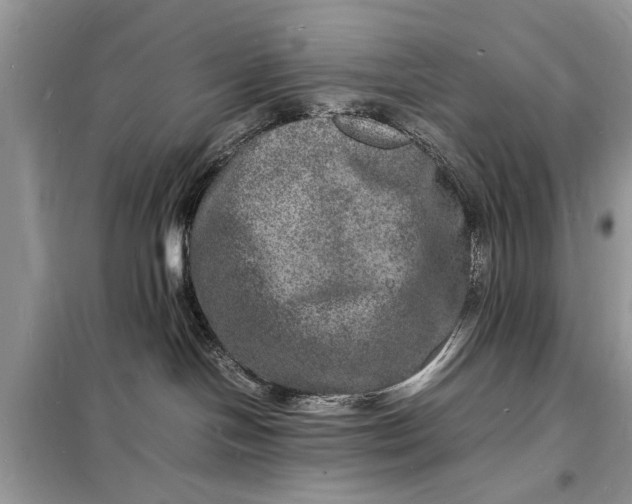 X0000098180094200805081034