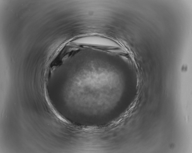 X0000098180097200805081033