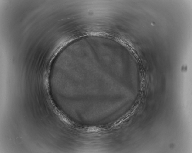 X0000098180098200805081033