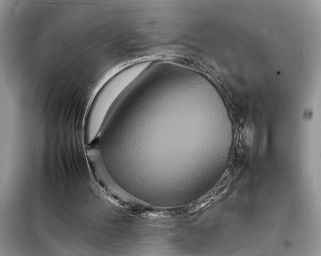 X0000098180100200805081033